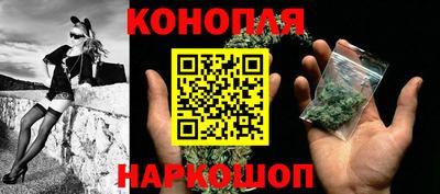 прущие грибы Ставрополь