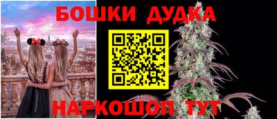 прущие грибы Ставрополь