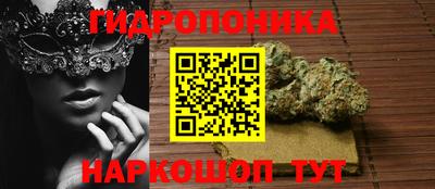 прущие грибы Ставрополь