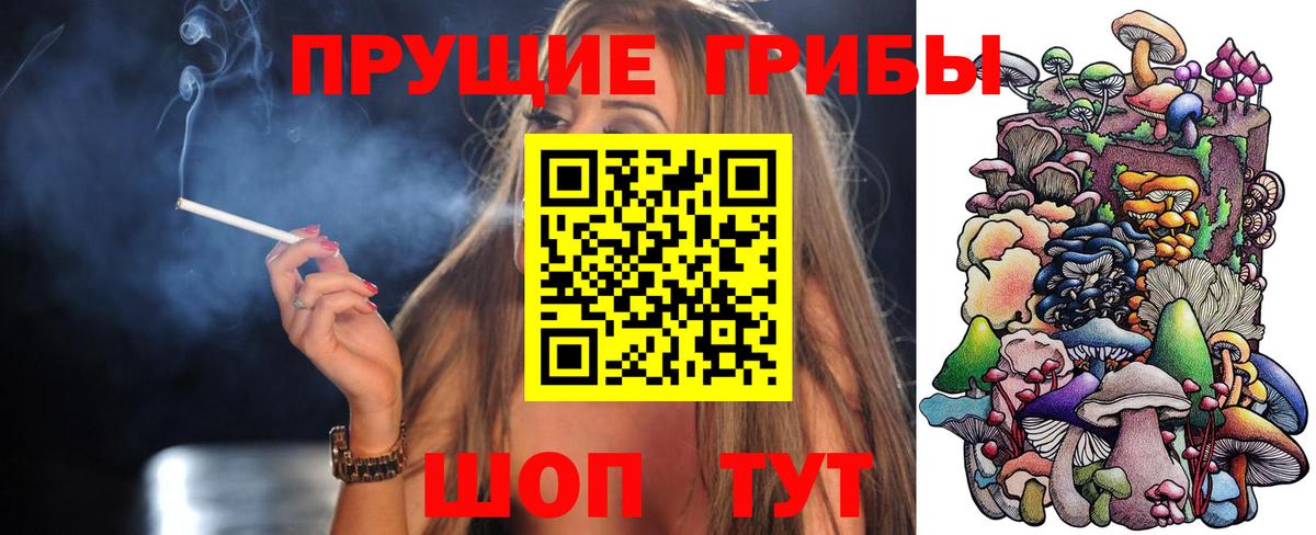 Осинники  Псилоцибиновые грибы ЛСД  где продают   Вход с VPN 